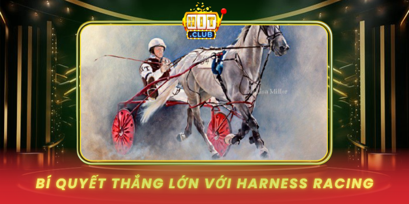 Bi Quyet Thang Lon Voi Harness Racing