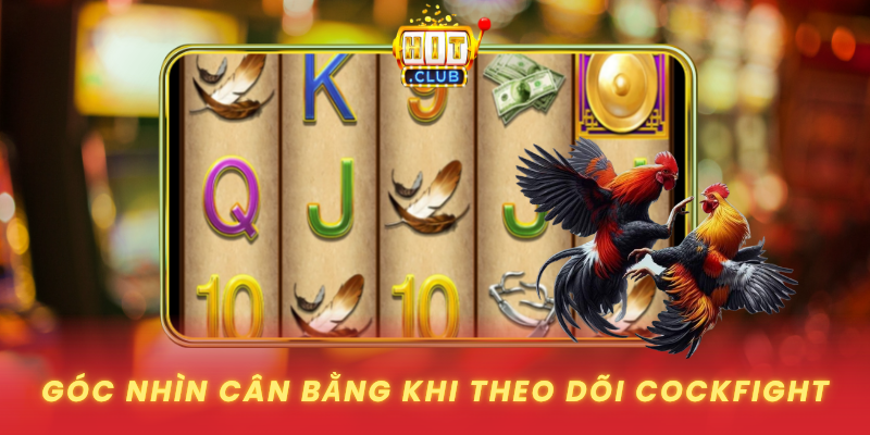 Goc Nhin Can Bang Khi Theo Doi Cockfight