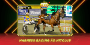 Harness Racing Ao Hitclub