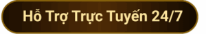 Ho Tro Truc Tuyen 247 300X50 1