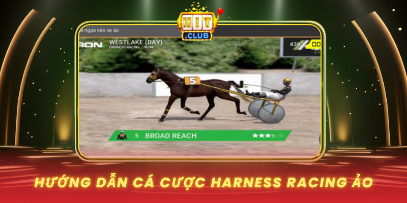 Huong Dan Ca Cuoc Harness Racing Ao