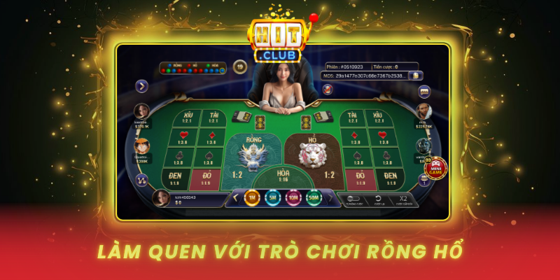 Rồng Hổ Theo Chất Bài - Chiến Thuật Độc Đáo Tại HitClub 1 Lam Quen Voi Tro Choi Rong Ho